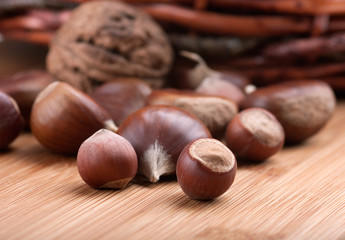 Chestnuts, walnuts and hazelnuts