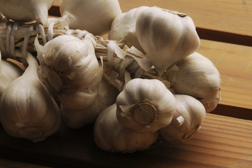 Allium sativum - Garlic