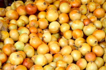 onion