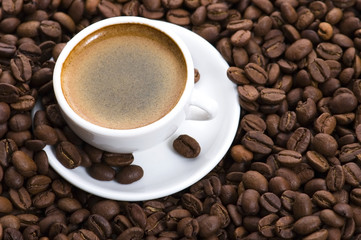 aroma coffee
