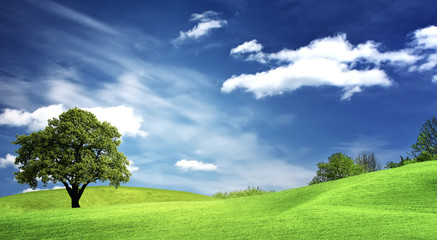 Green landscape