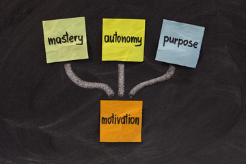 mastery, autonomy, purpose - motivation