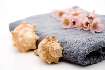 Muschel mit Handtuch