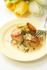 Scallops in terragon  cream sauce