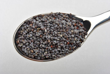 Fototapeta na wymiar some organic poppy seed on the spoon