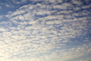 sky with cloud. Altocumulus perlucidus.