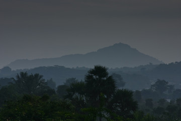 Trees and Hills