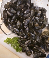 moule