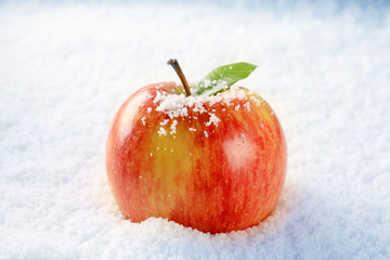 Apple in snow - Powered by Adobe