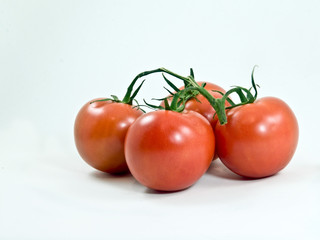 TOMATOES