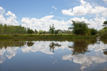 Fototapeta premium Wolken spiegeln im See