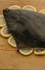 Passera cruda - Pleuronectes platessa