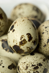 Obraz premium Wachtelei