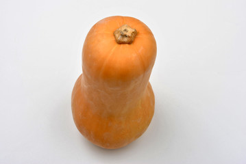 one organic butternut and a bright background
