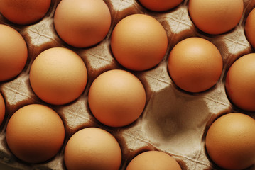 eggs