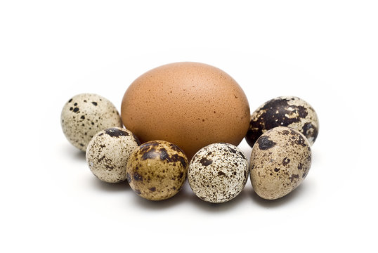 Huevo de gallina y varios de codorniz.