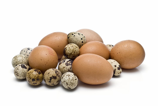 Huevos de codorniz y gallina.