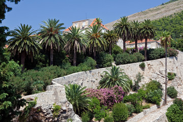 Fototapeta na wymiar Dubrovnik old town - park