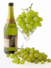 Obraz na płótnie Canvas wine and grapes