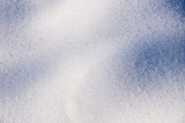 winter in the garden