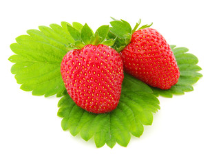 fresh  strawberry
