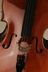 Violoncello