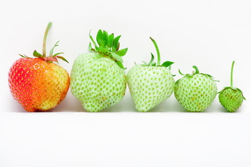 Strawberries