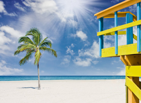 Tropical beach with lifeguard house and palm trees in Miami
