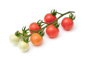 cherry tomato