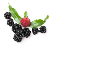 blackberry and raspberry