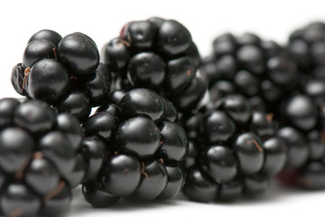 blackberry