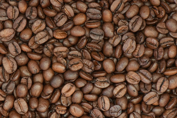 Obraz premium coffee