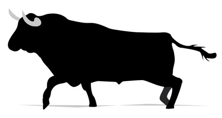 bull