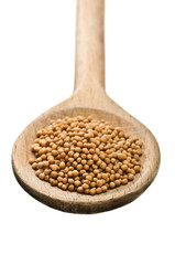 wooden spoon with mustard seeds