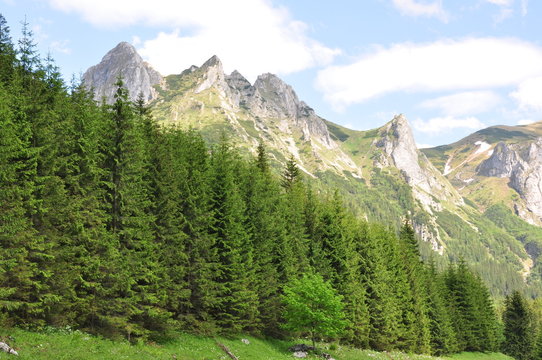 Fototapeta Trzy Korony Tatry Polska