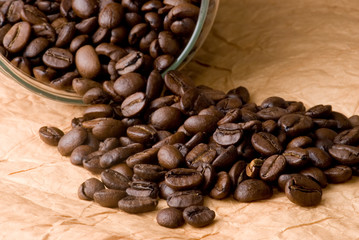 Coffee beans on cargo paper