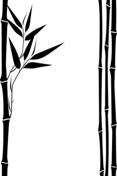 frame from bamboo silhouettes