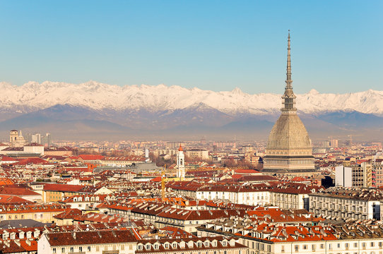 MOLE ANTONELLIANA