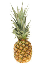 Fototapeta premium Pineapple
