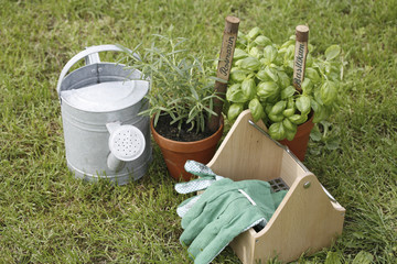 Gartenkräuter nach getaner Gartenarbeit