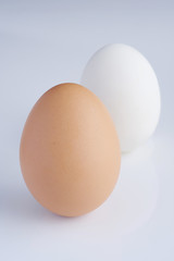 egg