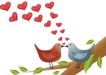Two kissing birds on the branch of tree