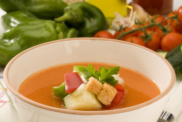 Spanish Cuisine. Gazpacho. Andalusian cold soup.
