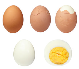egg food