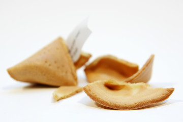 fortune cookie