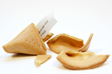 fortune cookie