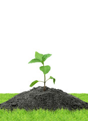 Boy holding soccer ball