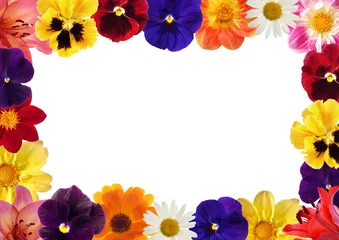Photo sur Plexiglas Pansies framework from various flowers