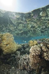 Relections on a clam ocean surface