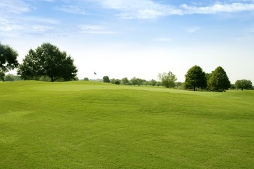 Beautigul Golf green grass sport fields